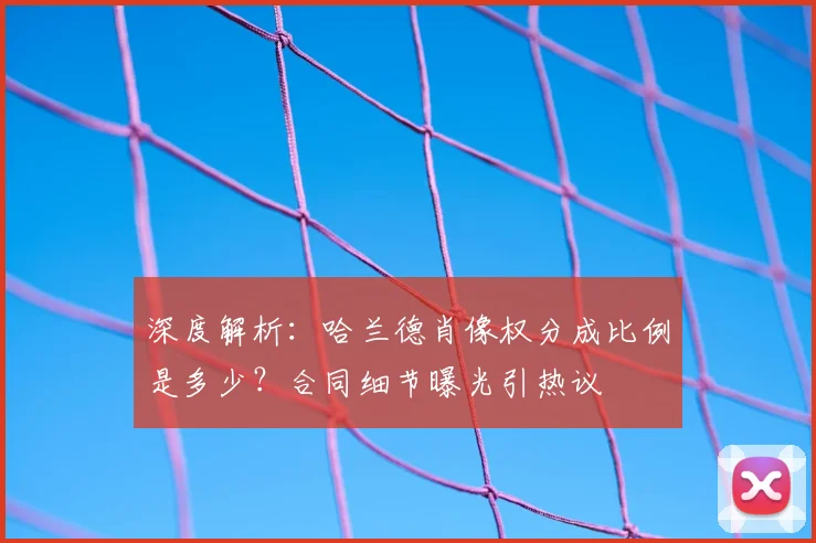深度解析:哈兰德肖像权分成比例是多少?合同细节曝光引热议