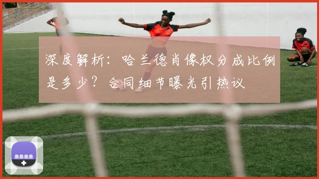 深度解析：哈兰德肖像权分成比例是多少？合同细节曝光引热议